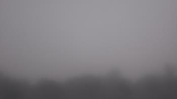 Weather camera view of Winston School.