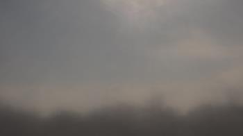 Weather camera view of Winston School.