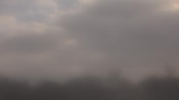 Weather camera view of Winston School.