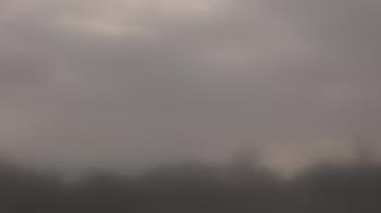 Weather camera view of Winston School.