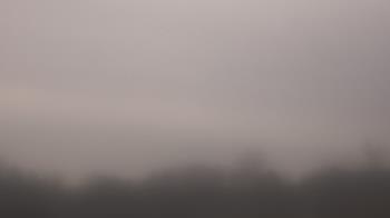 Weather camera view of Winston School.