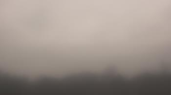 Weather camera view of Winston School.