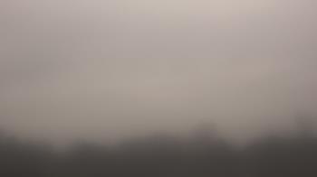 Weather camera view of Winston School.