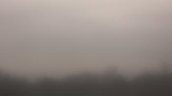 Weather camera view of Winston School.