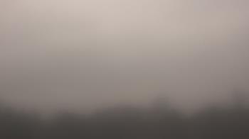 Weather camera view of Winston School.