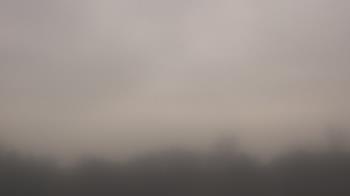 Weather camera view of Winston School.