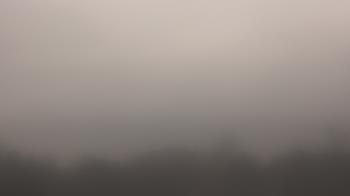 Weather camera view of Winston School.