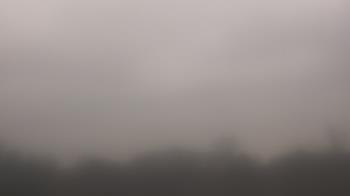 Weather camera view of Winston School.