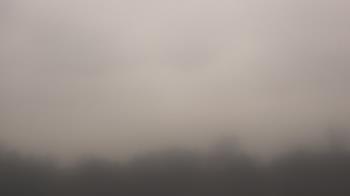 Weather camera view of Winston School.