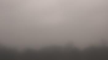 Weather camera view of Winston School.