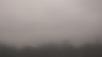 Weather camera view of Winston School.