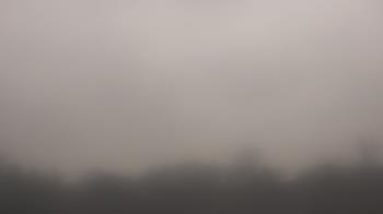 Weather camera view of Winston School.