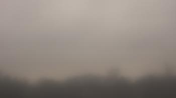 Weather camera view of Winston School.