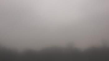 Weather camera view of Winston School.