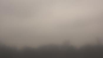 Weather camera view of Winston School.