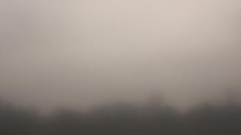 Weather camera view of Winston School.