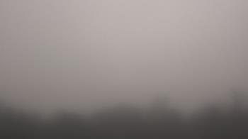 Weather camera view of Winston School.