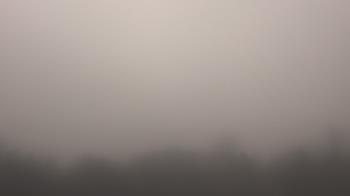 Weather camera view of Winston School.