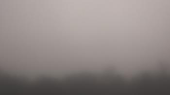 Weather camera view of Winston School.