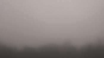 Weather camera view of Winston School.