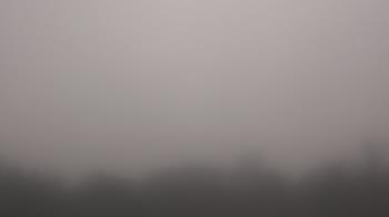 Weather camera view of Winston School.