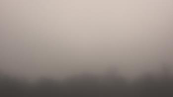 Weather camera view of Winston School.