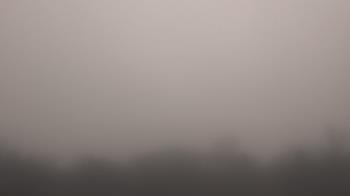 Weather camera view of Winston School.