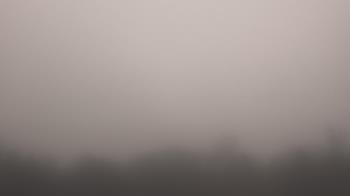 Weather camera view of Winston School.