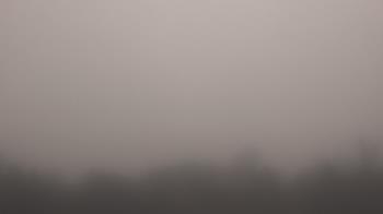 Weather camera view of Winston School.