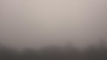 Weather camera view of Winston School.