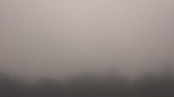 Weather camera view of Winston School.