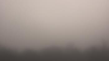 Weather camera view of Winston School.