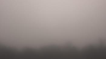 Weather camera view of Winston School.