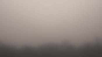 Weather camera view of Winston School.