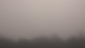 Weather camera view of Winston School.