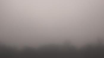 Weather camera view of Winston School.