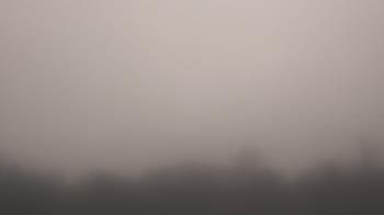 Weather camera view of Winston School.