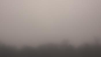 Weather camera view of Winston School.