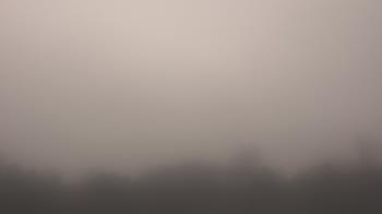 Weather camera view of Winston School.