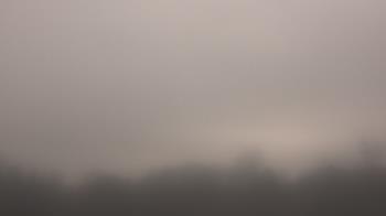 Weather camera view of Winston School.