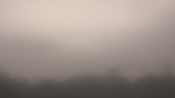 Weather camera view of Winston School.