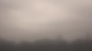 Weather camera view of Winston School.