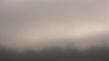 Weather camera view of Winston School.