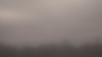 Weather camera view of Winston School.