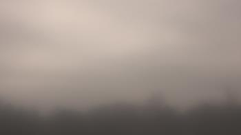 Weather camera view of Winston School.