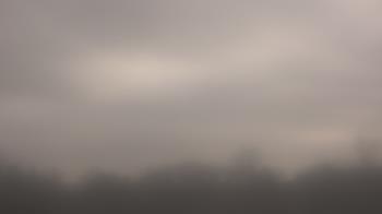 Weather camera view of Winston School.