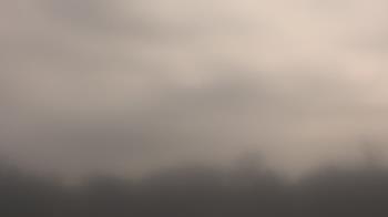 Weather camera view of Winston School.