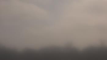 Weather camera view of Winston School.