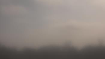 Weather camera view of Winston School.