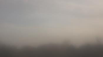 Weather camera view of Winston School.